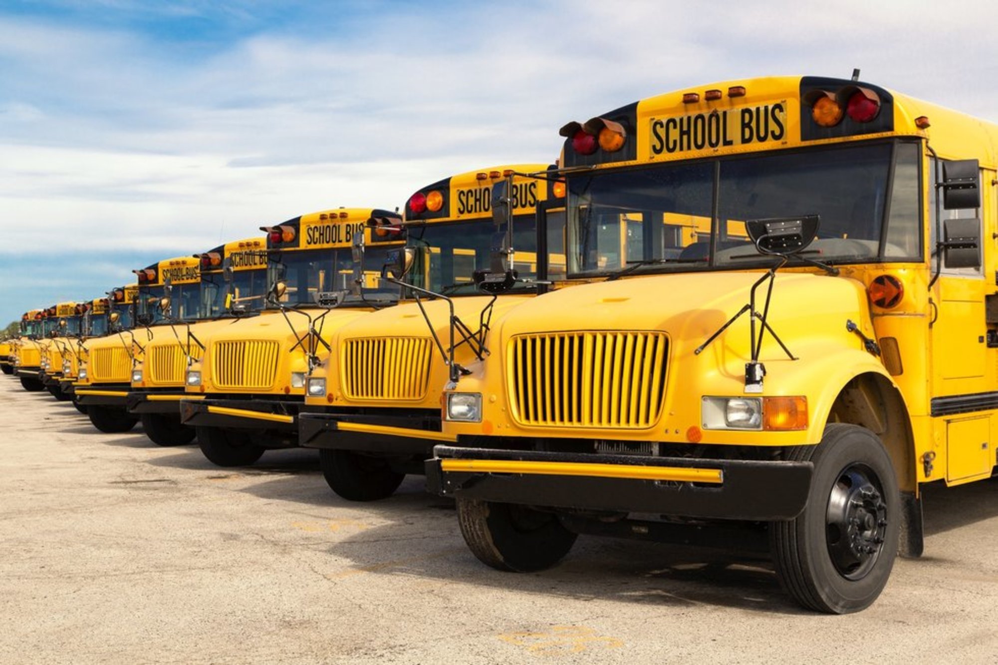 School Transportation School Bus Inc Team School Transportation School Bus Inc Team